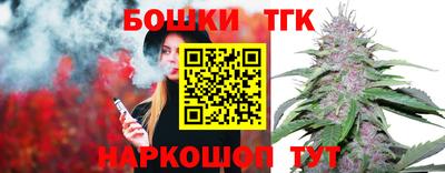 индика Пушкино